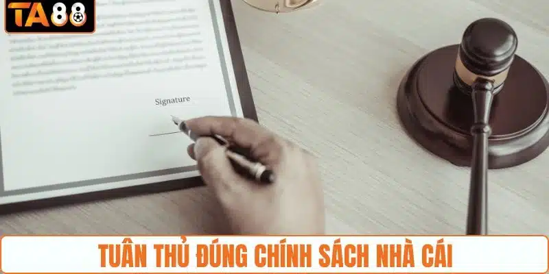 Nội dung quan trọng được nhà cái đề cập